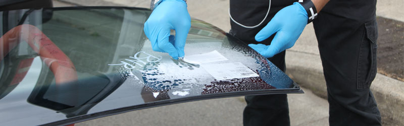 windshield scratch repair Portland